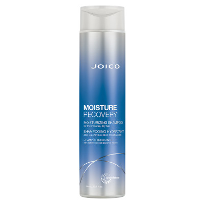 JOICO MOISTURE RECOVERY SHAMPOO 10OZ