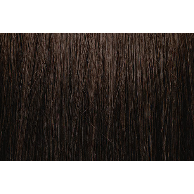 PRAVANA CHROMASILK 5GA/5.31