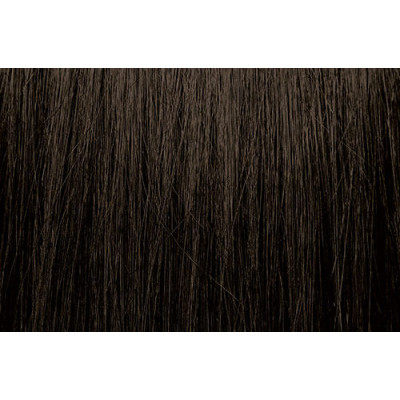 PRAVANA CHROMASILK 6A/6.1