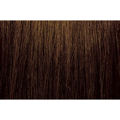 PRAVANA CHROMASILK 6GC/6.34