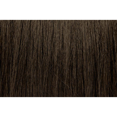 PRAVANA CHROMASILK 6NTA/6NT1