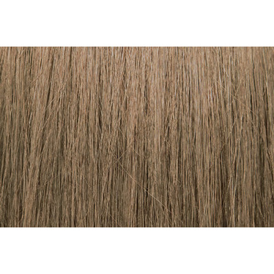 PRAVANA CHROMASILK 8N/8