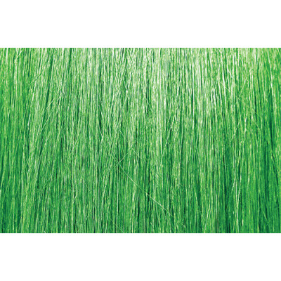 PRAVANA CHROMASILK VIVIDS NEON GREEN